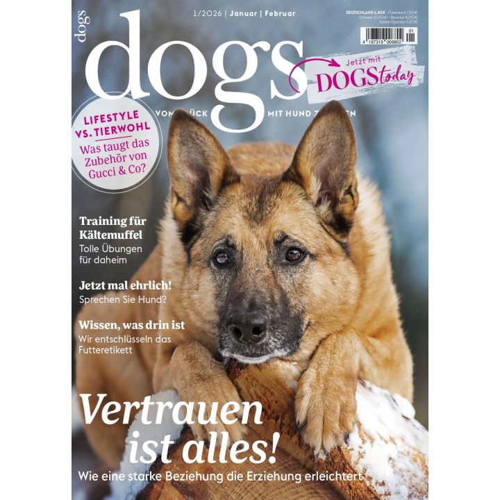 Dogs 1/2026