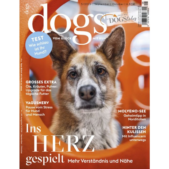 Dogs 5/2026