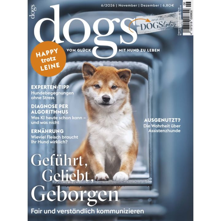 Dogs 6/2026