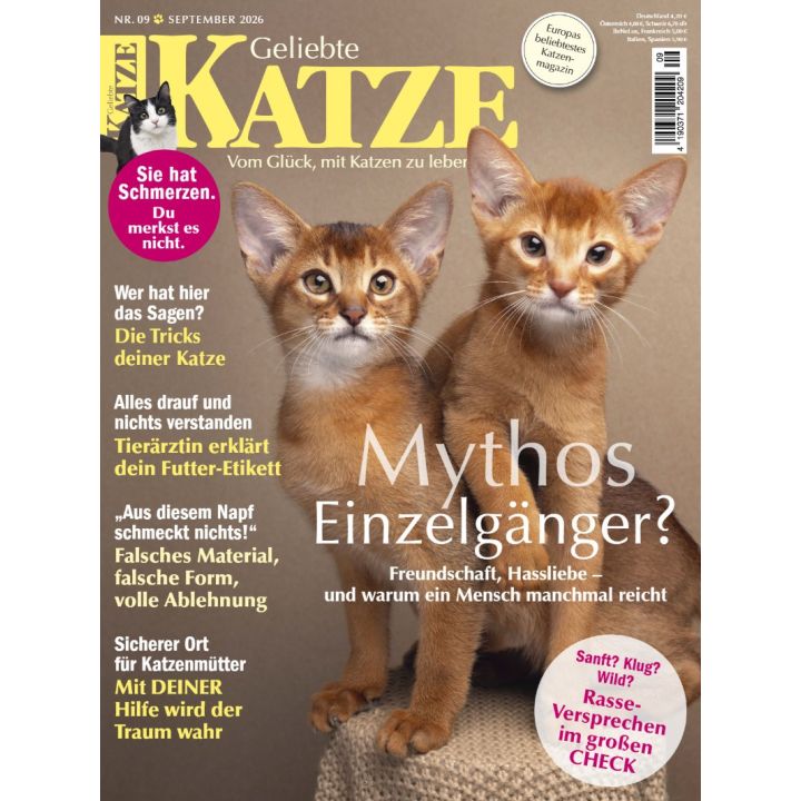 Geliebte Katze 9/2026
