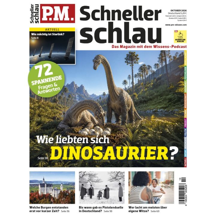PM Schneller Schlau 10/2026