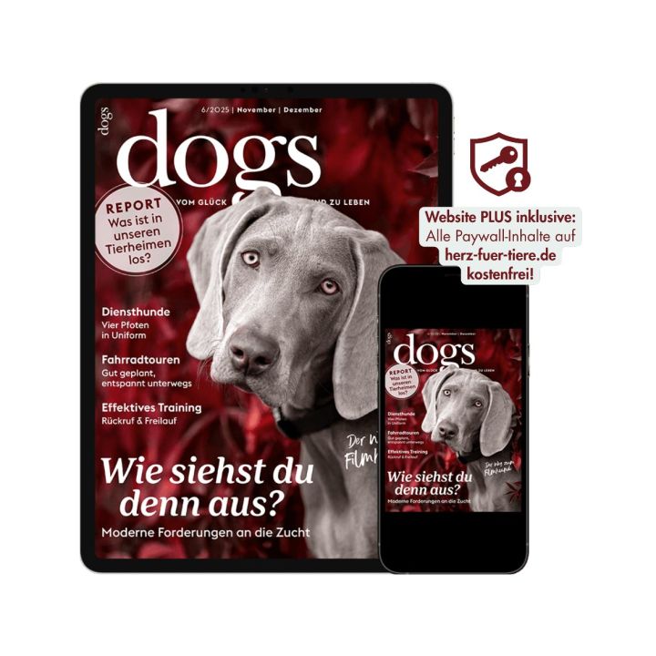 Dogs Testabo &bdquo;Einstieg-Digital&ldquo; &ndash; E-Paper