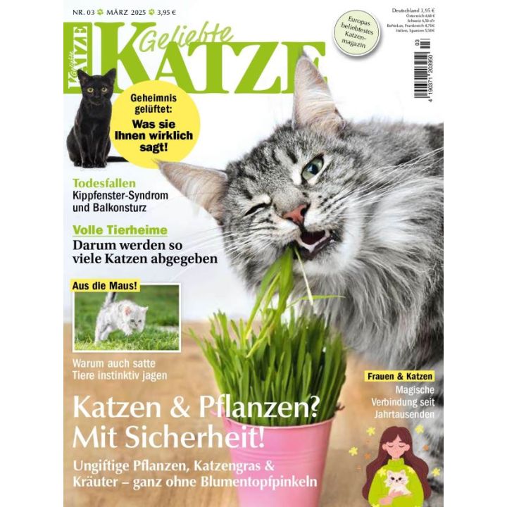 Geliebte Katze zum Testen