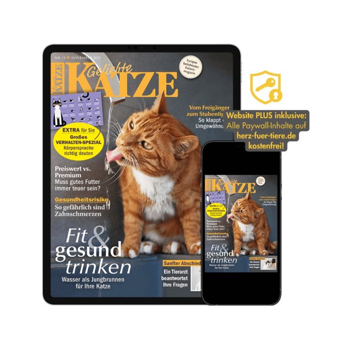 Geliebte Katze Testabo &bdquo;Einstieg-Digital&ldquo; &ndash; E-Paper