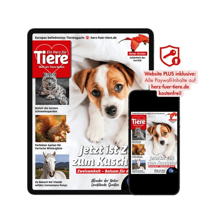 Ein Herz f&uuml;r Tiere Testabo &bdquo;Einstieg-Digital&ldquo; &ndash; E-Paper