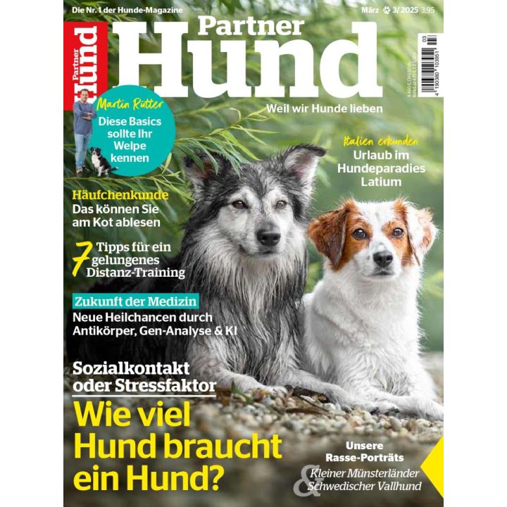 Partner Hund zum Testen