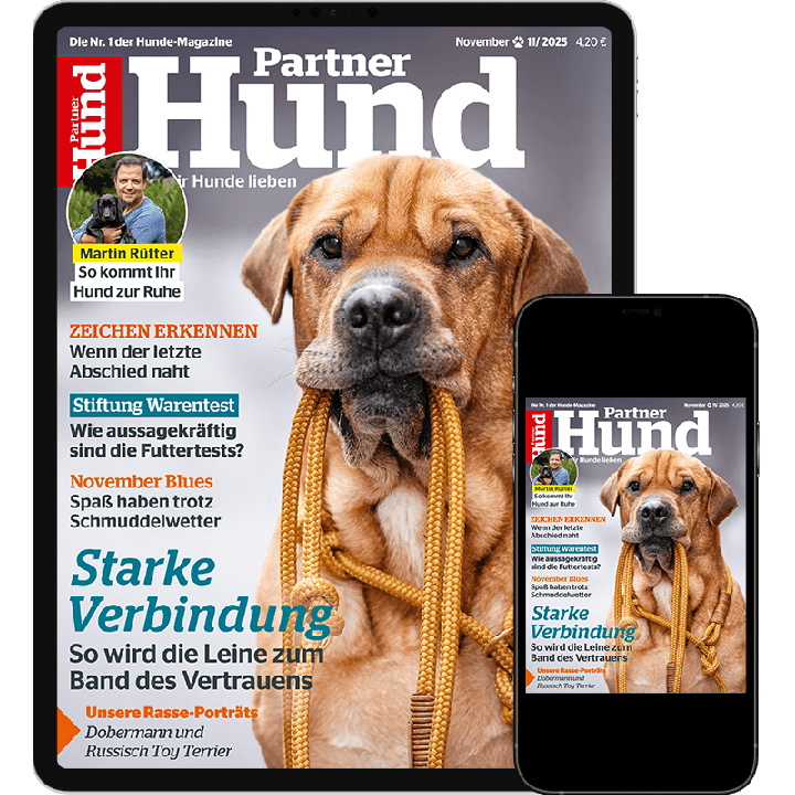 Partner Hund Testabo &bdquo;Einstieg-Digital&ldquo; &ndash; E-Paper