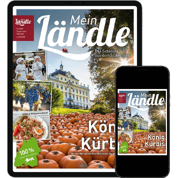 Mein L&auml;ndle Testabo &bdquo;Einstieg-Digital&ldquo; &ndash; E-Paper