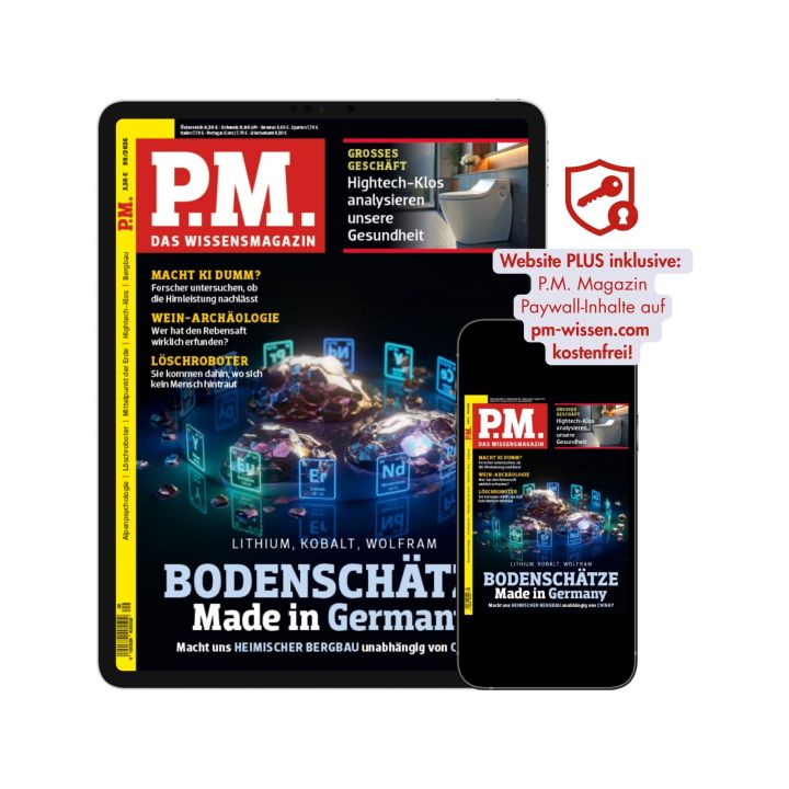 P.M. Testabo &bdquo;Einstieg-Digital&ldquo; &ndash; E-Paper