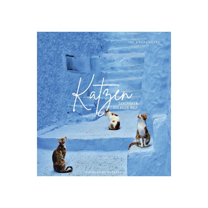 Katzen