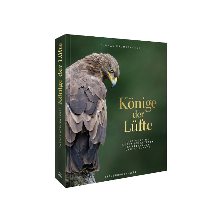 Könige der Lüfte