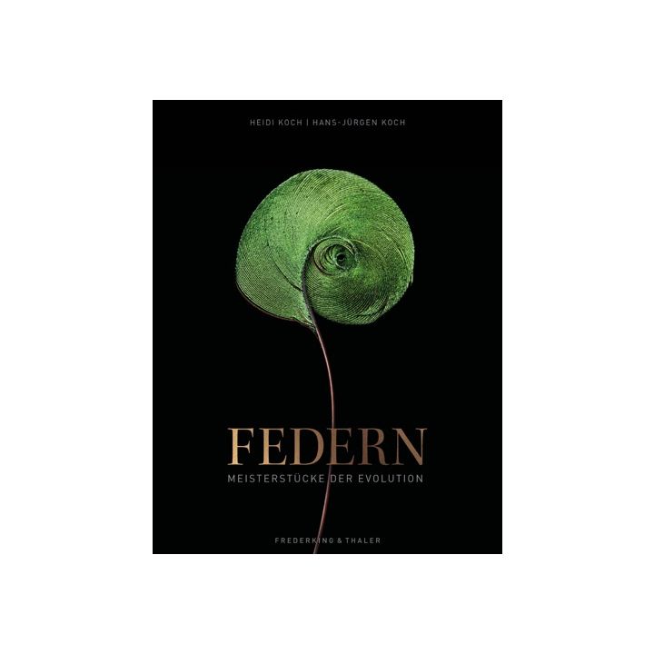Federn
