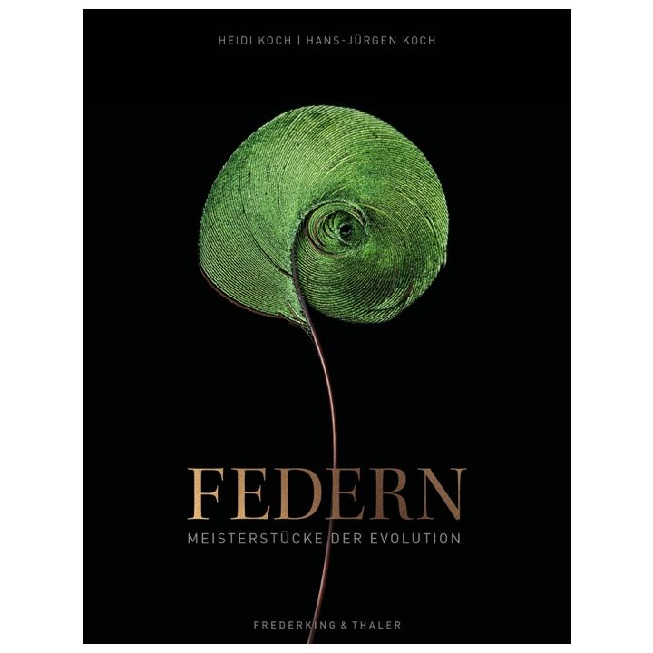 Federn