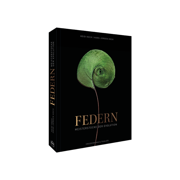 Federn