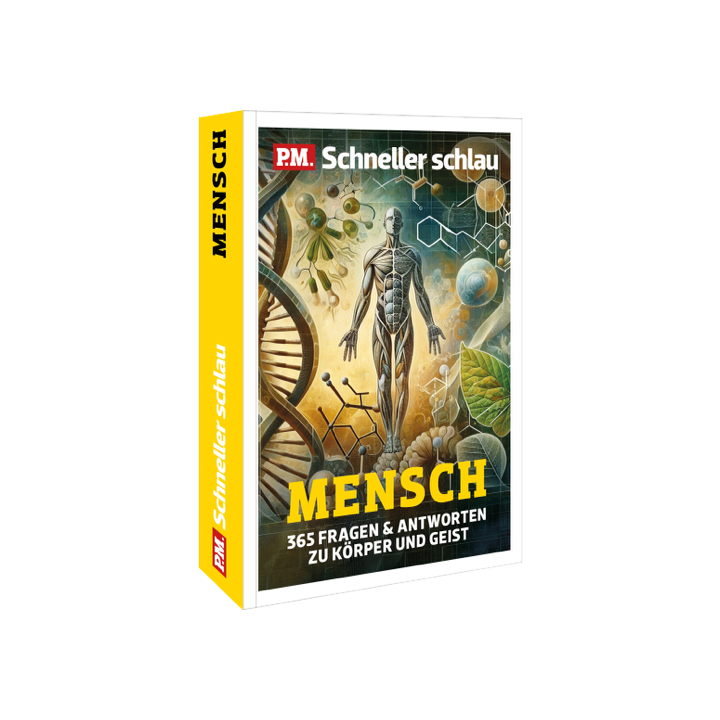 P.M. Schneller Schlau MENSCH