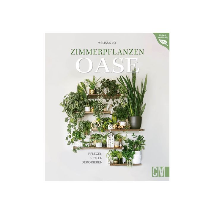 Zimmerpflanzen Oase