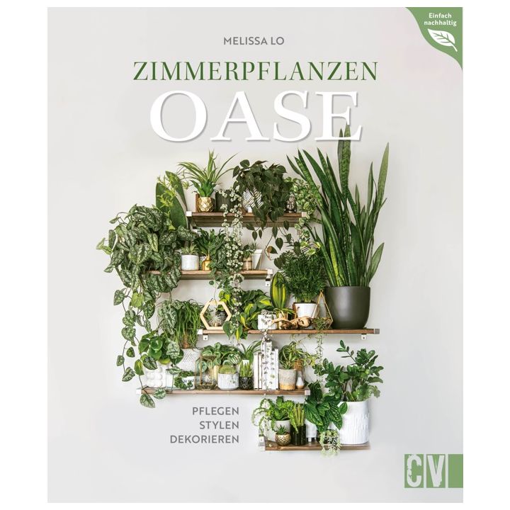 Zimmerpflanzen Oase