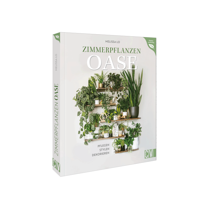 Zimmerpflanzen Oase