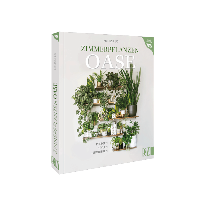 Zimmerpflanzen Oase