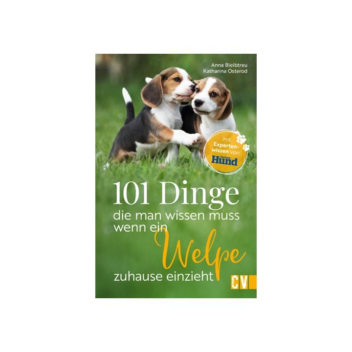 101 Dinge, die man wissen muss, wenn ein Welpe zuhause einzieht