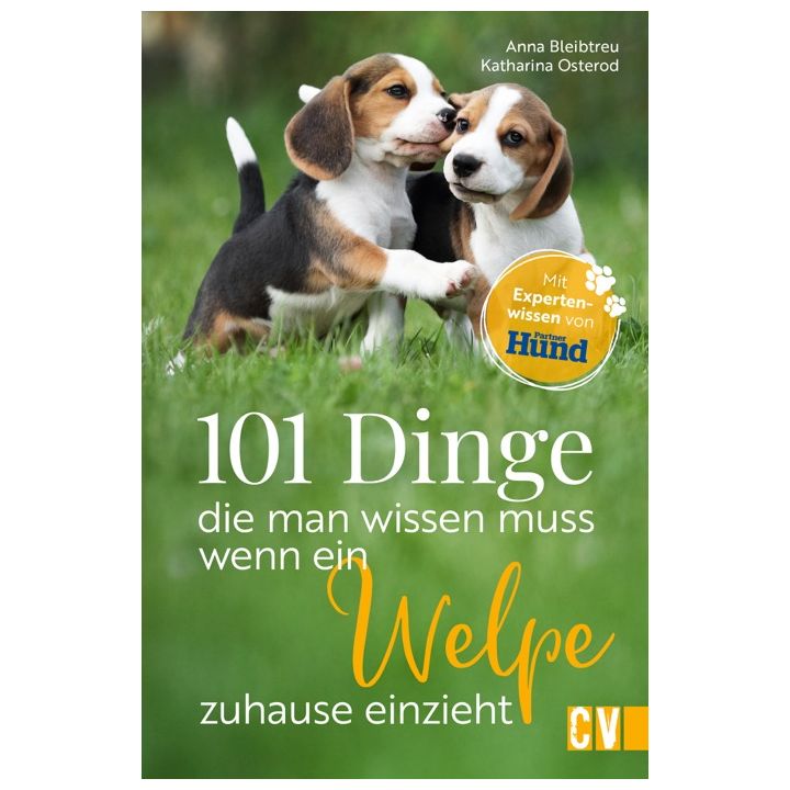 101 Dinge, die man wissen muss, wenn ein Welpe zuhause einzieht