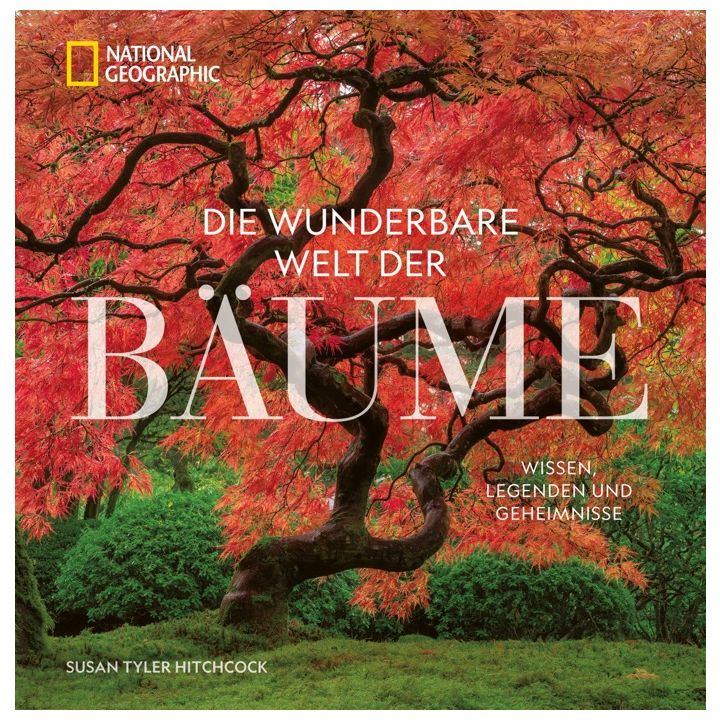 Die wunderbare Welt der B&auml;ume