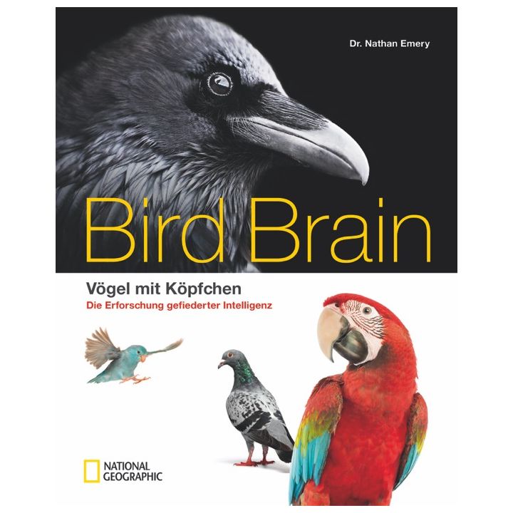 Bird Brain