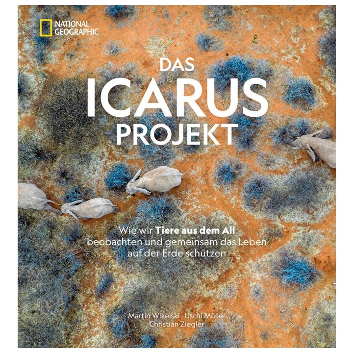 Das ICARUS Projekt