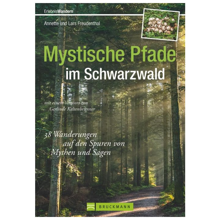 GPS-Download zum Titel Mystische Pfade Schwarzwald (2014)