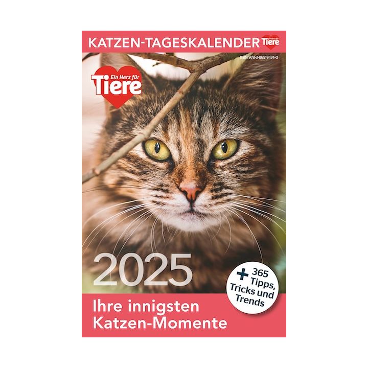Katzen Tageskalender 2025