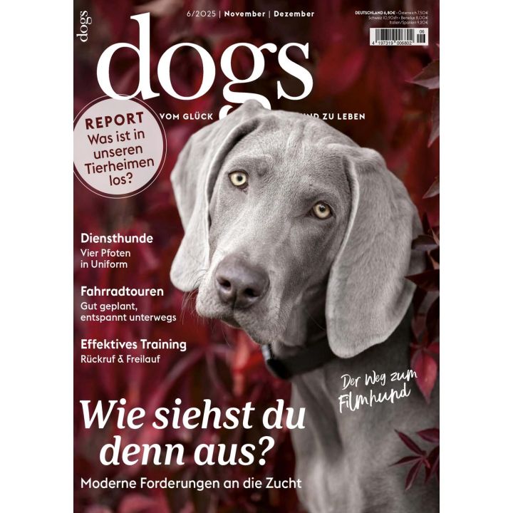 Dogs 6/2025