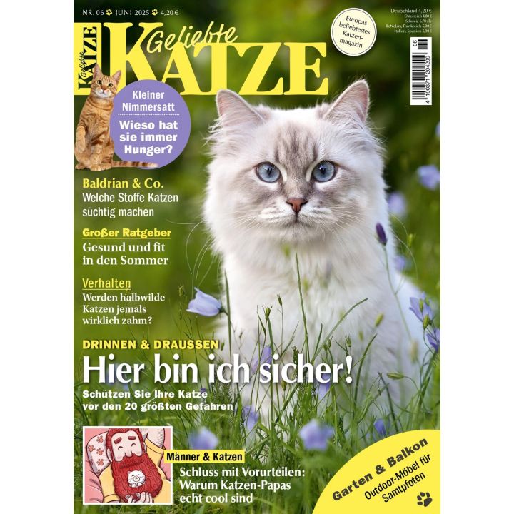 Geliebte Katze 6/2025
