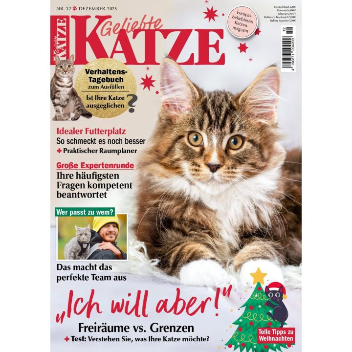 Geliebte Katze 12/2025