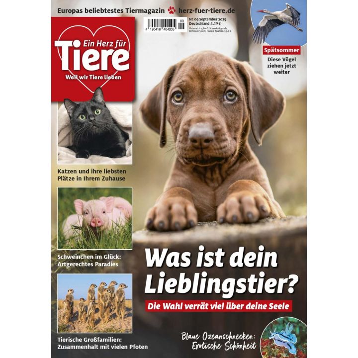 Ein Herz für Tiere 9/2025