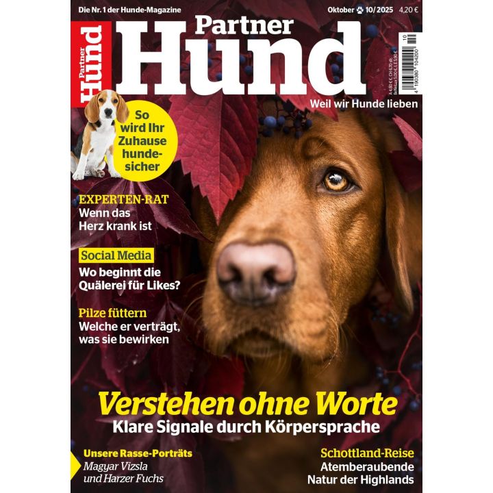 Partner Hund 10/2025