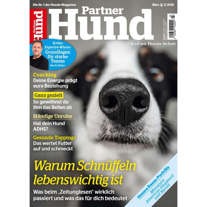 Partner Hund 3/2026