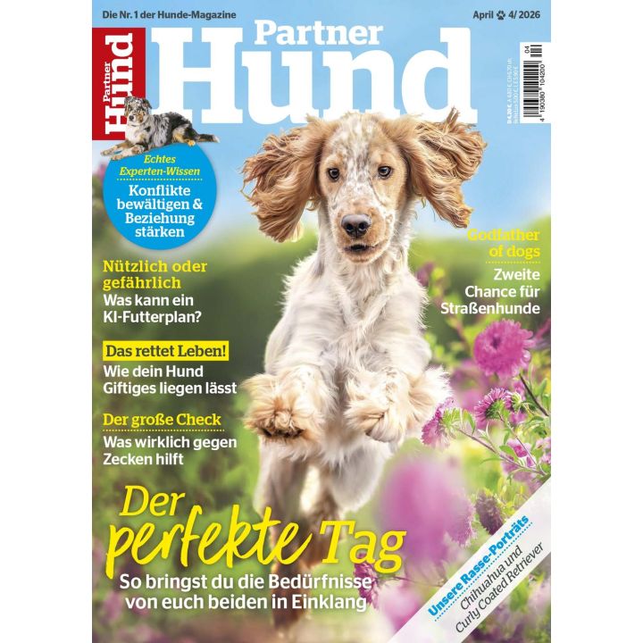 Partner Hund 4/2026