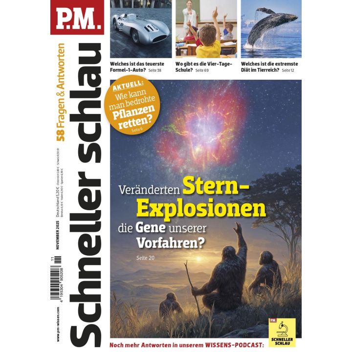 PM Schneller Schlau 11/2025
