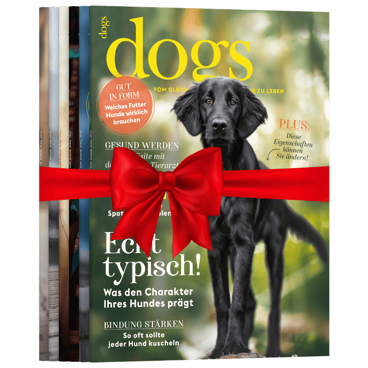 Dogs zum Verschenken
