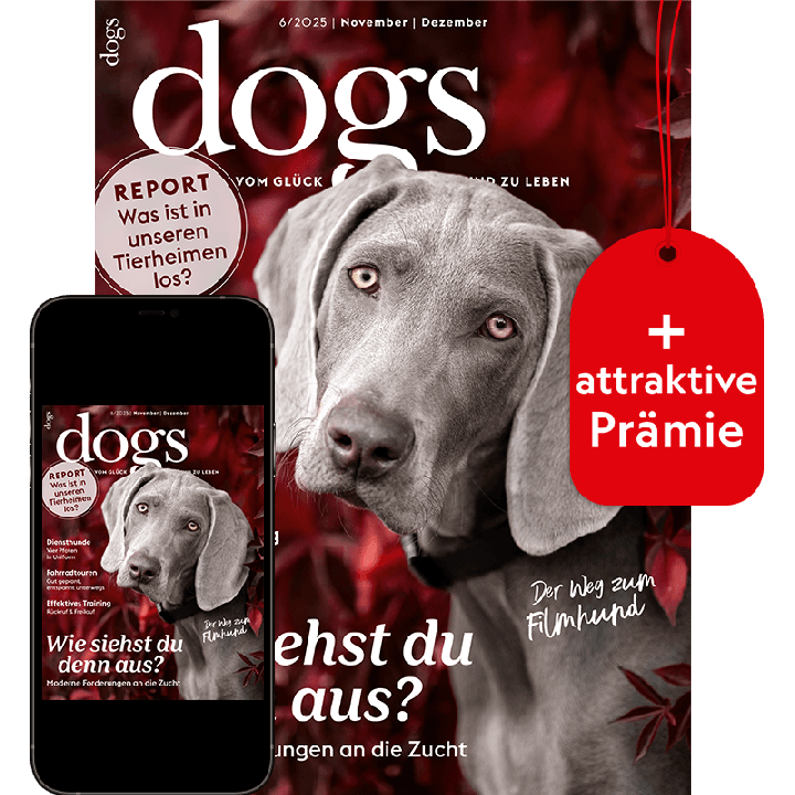 Dogs Testabo &bdquo;Plus&ldquo; mit Geschenk f&uuml;r Sie