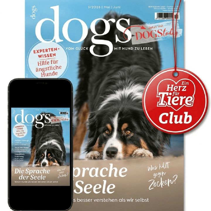 Club-Upgrade Dogs