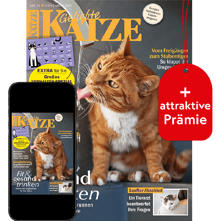 Geliebte Katze Testabo „Plus“ mit Geschenk für Sie