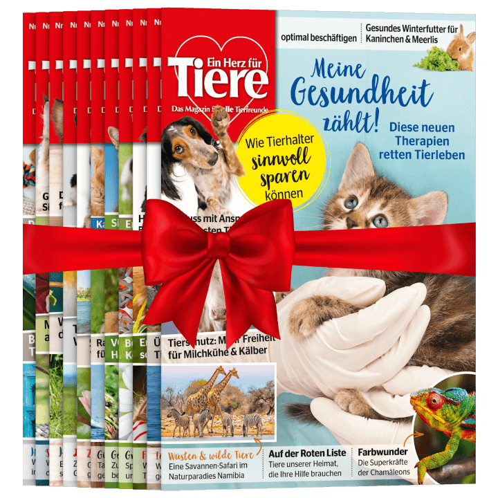 Ein Herz für Tiere zum Verschenken