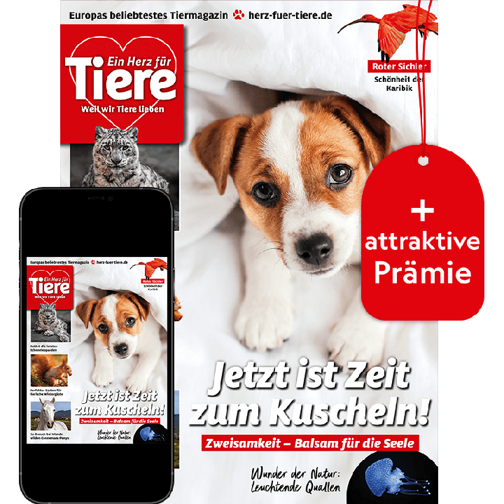 Ein Herz f&uuml;r Tiere Testabo &bdquo;Plus&ldquo; mit Geschenk f&uuml;r Sie