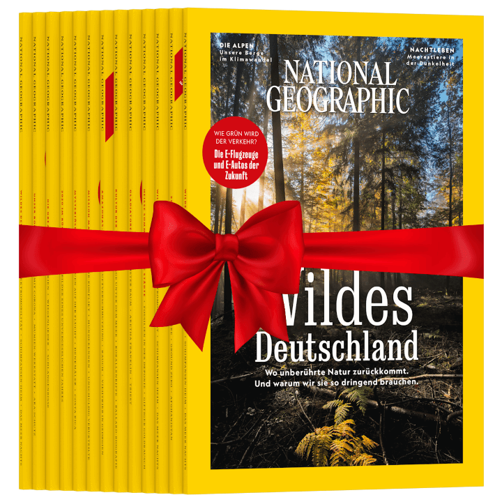NATIONAL GEOGRAPHIC zum Verschenken