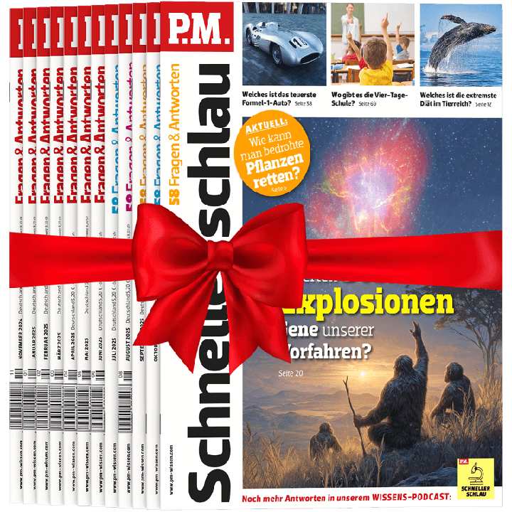 P.M. Schneller schlau zum Verschenken