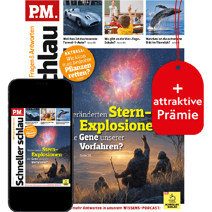 P.M. Schneller schlau Testabo „Plus“ mit Geschenk für Sie