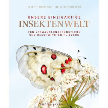 Unsere einzigartige Insektenwelt