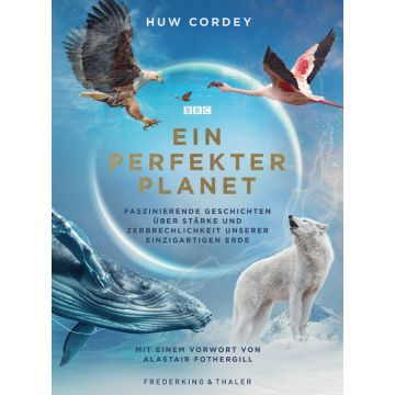 Ein perfekter Planet