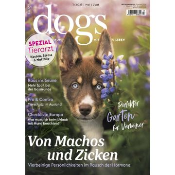 DOGS 2025/03